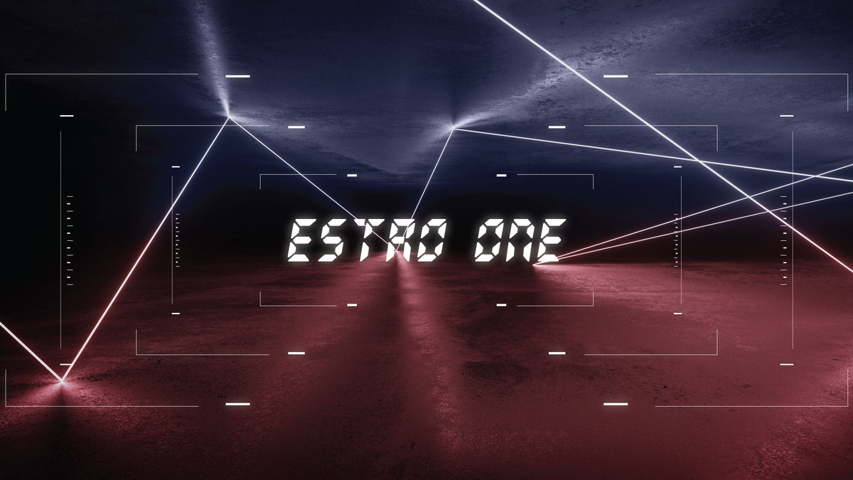ESTRO-ONE – Estrowerk